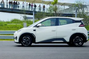 BYD price war not sustainable 4