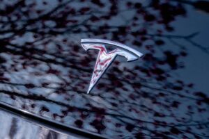 tesla logo model y 3