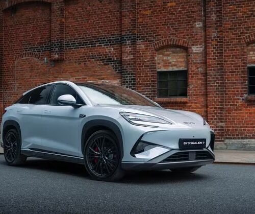 imgi 3 bvew3gv6x9vrt3n31o1va3 8