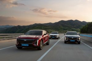 20260102085412579409 L 4