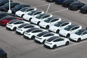 HSBC, 테슬라 주가 70% 하락 가능성 경고... BYD에 밀리고 보조금 끊기고 3 imgi 5 Tesla MYStandard JoeTegtmeyer 01 3