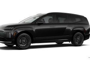 현대차 전기 SUV 정점 찍었다…아이오닉 9 캘리그래피 블랙잉크 등장 51