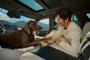 냉장고·마사지 기본… 탱크 700, 중국 SUV의 과감한 옵션 11